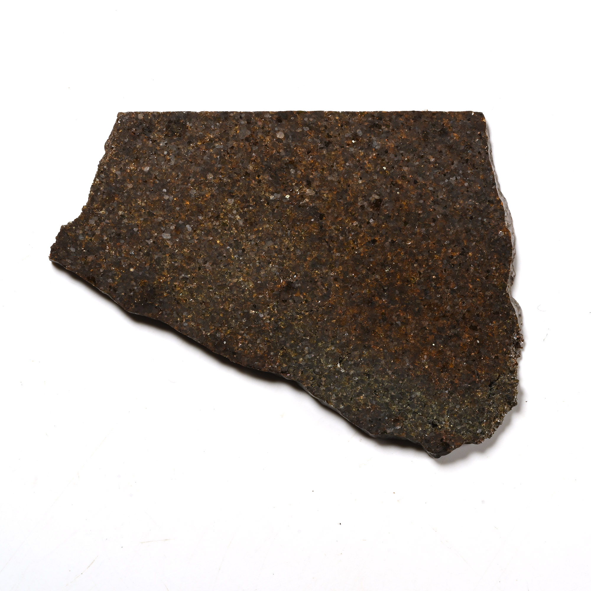 Natural History - Brachinite NWA 3151 Meteorite Slice
